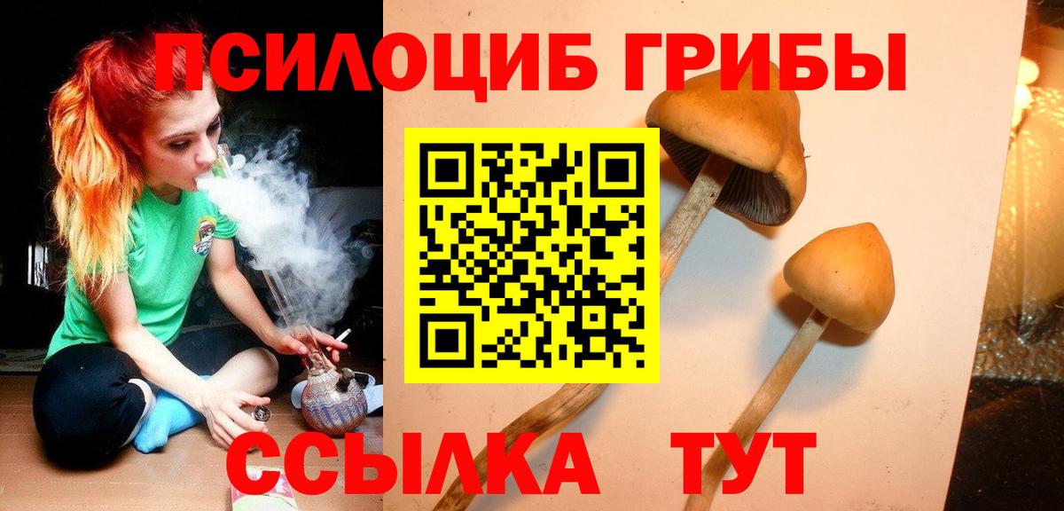 Псилоцибиновые грибы GOLDEN TEACHER  Вход с VPN  Галлюциногенные грибы ЛСД  даркнет сайт  Ленинск-Кузнецкий 